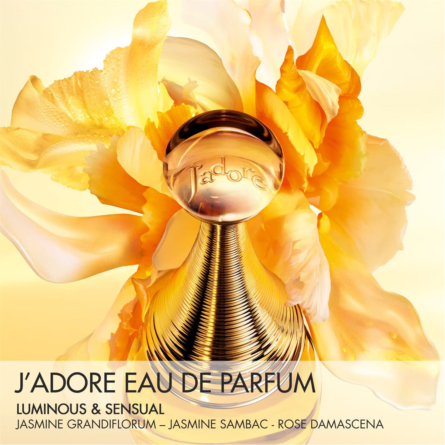 J'adore Eau De Parfum Roller-Pearl 20ml